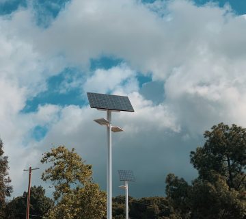 Photo by Sandra Parra on Unsplash